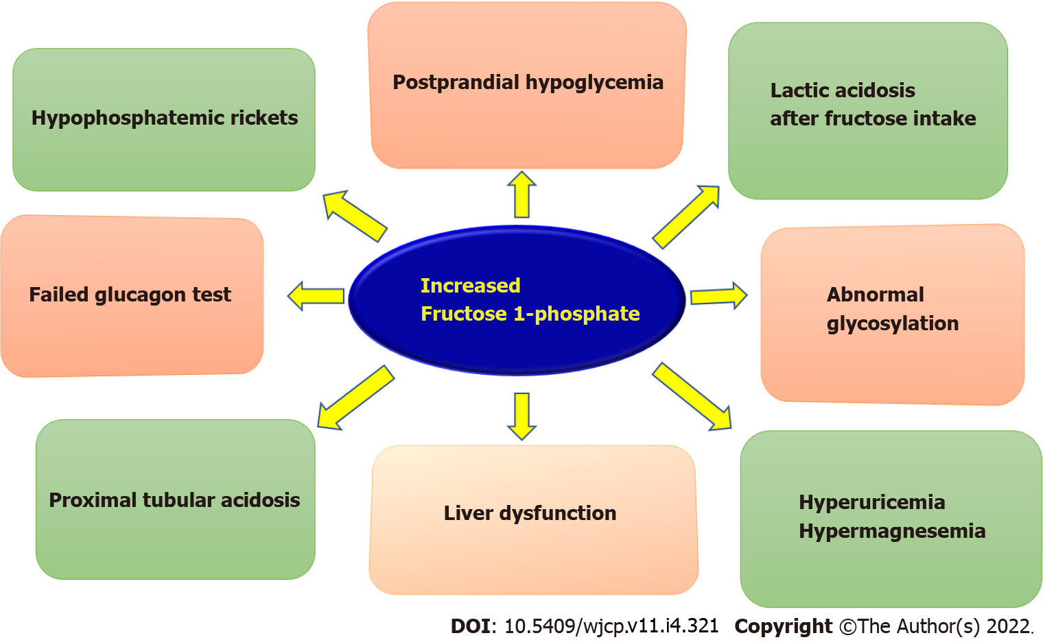 Hereditary fructose intolerance: A comprehensive review