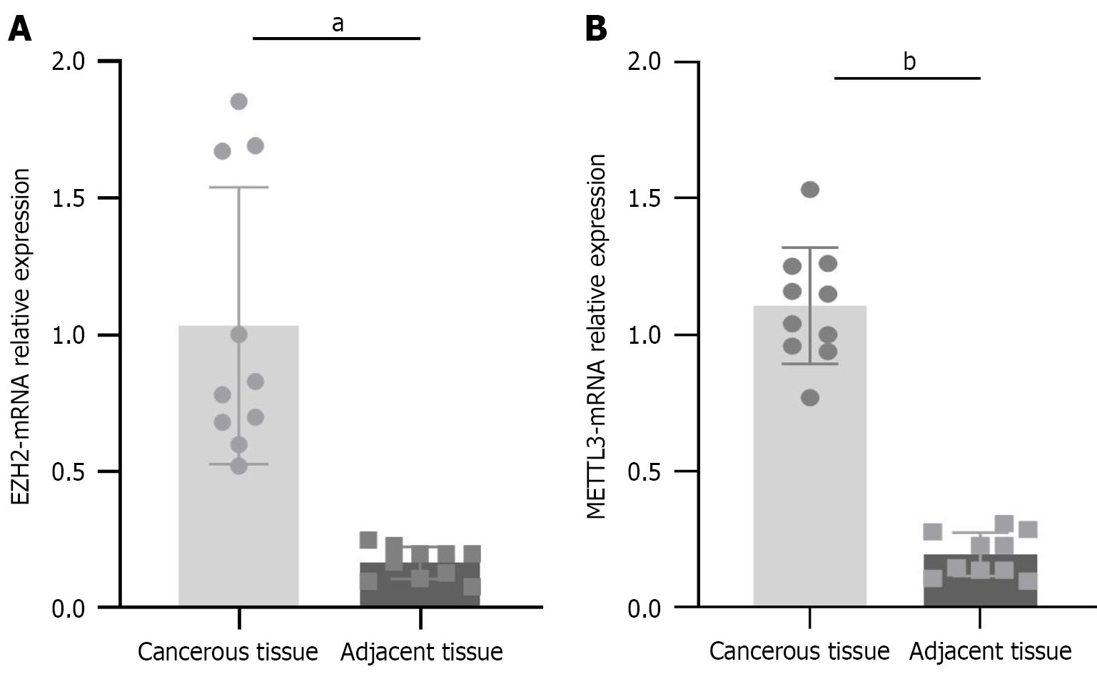 Figure 1 Figure 1