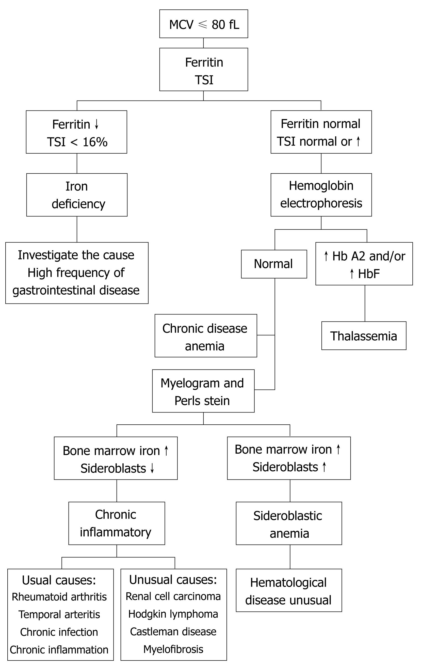 Types Of Anemia Chart Lab