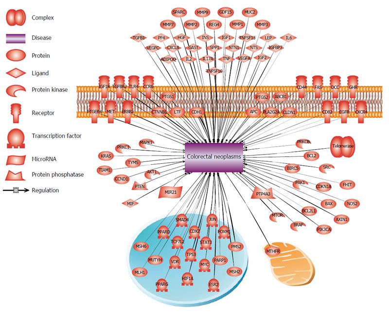 New Trends In Molecular And Cellular Biomarker Discovery For Colorectal Cancer 