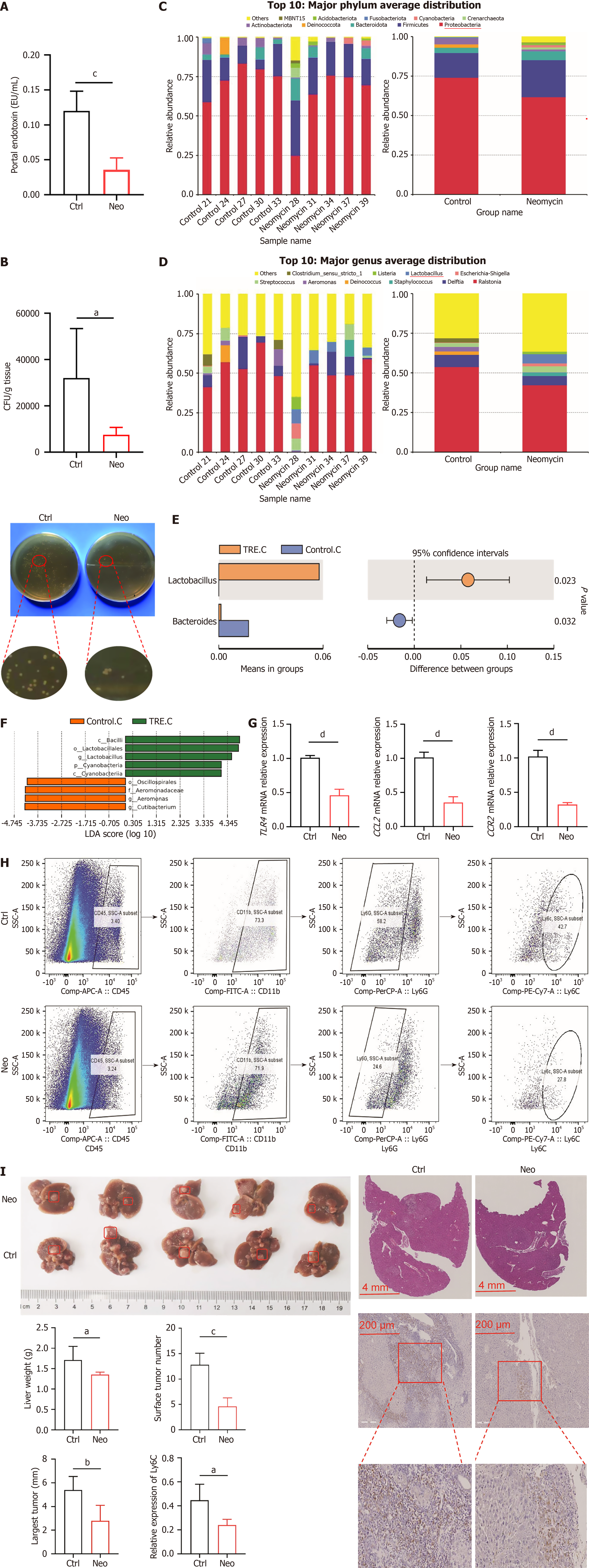 Gram-negative bacteria and endotoxins promote hepatocellular