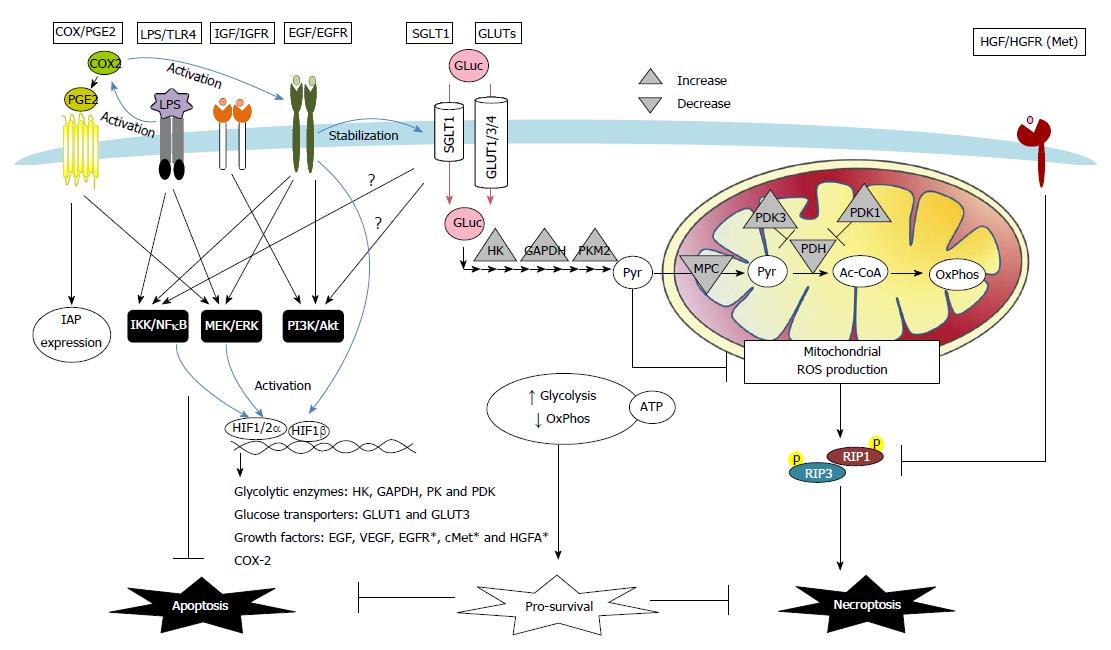 Pathophysiological mechanisms of death resistance in