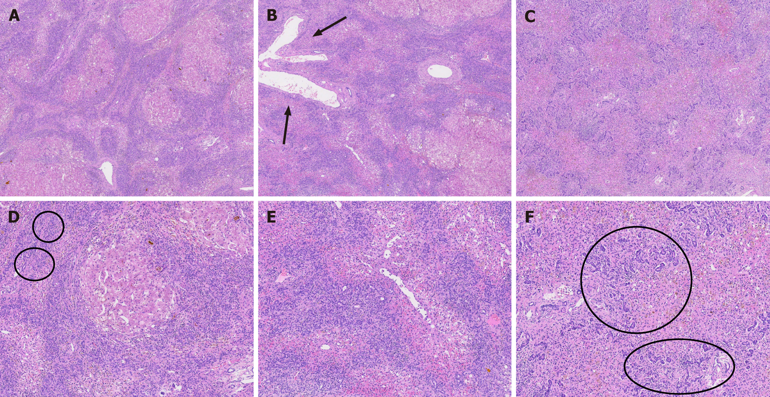 Figure 3 Figure 3