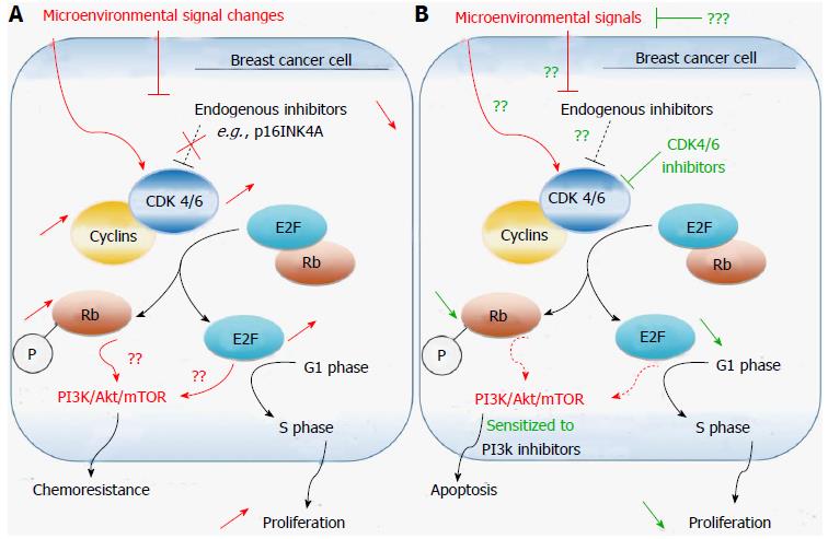 (PDF) Discovery and evaluation of dual CDK1 and CDK2 