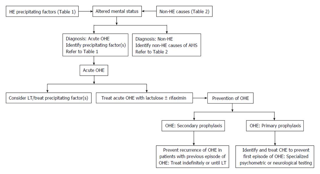 altered mental status differential