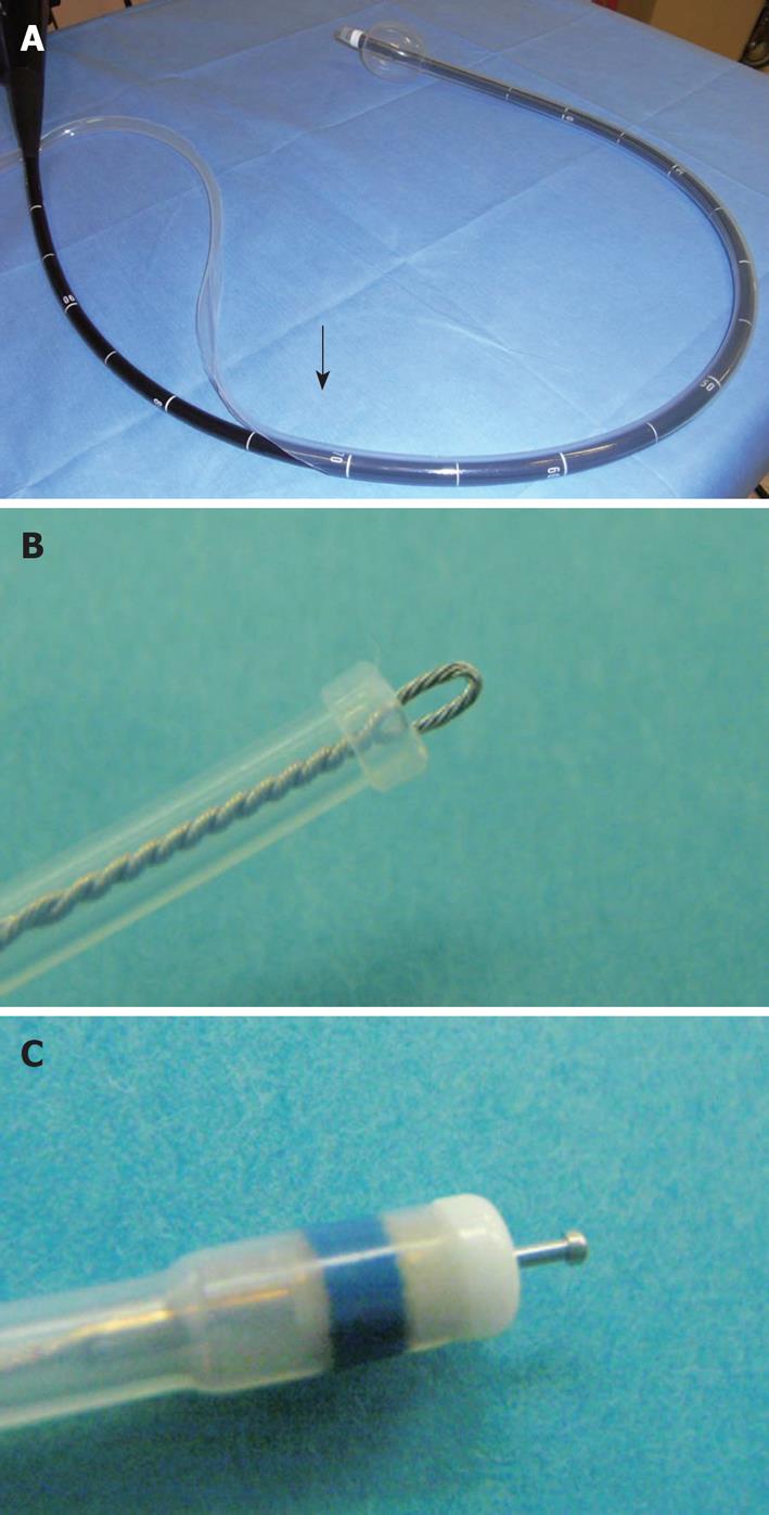 Balloon Overtube Guided Colorectal Endoscopic Submucosal Dissection My Xxx Hot Girl