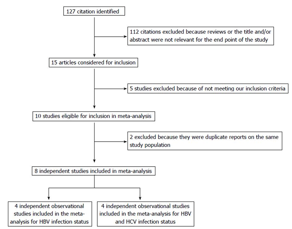 Hepatitis B Flow Chart