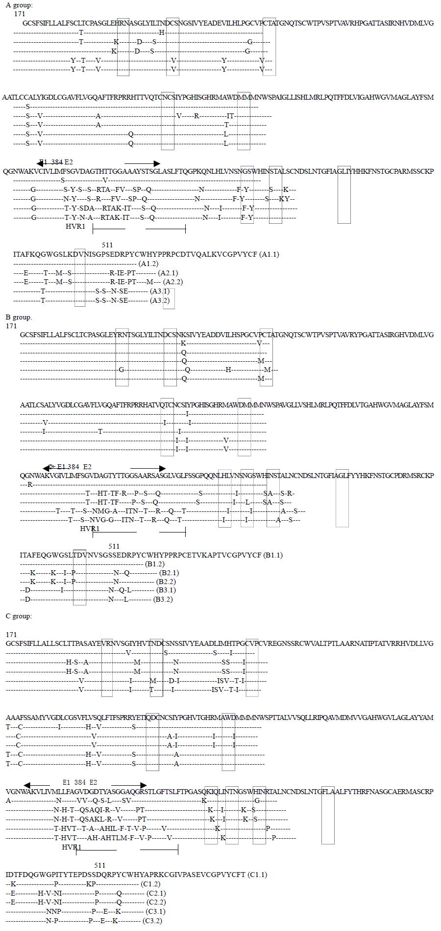 Genetic Evolution Of Structural Region Of Hepatitis C Virus In Primary Infection