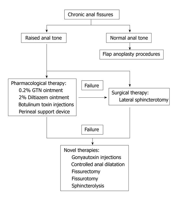 Anal treatment procedure