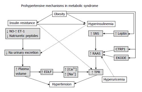 Metabolic syndrome in hypertensive patients: An unholy ...