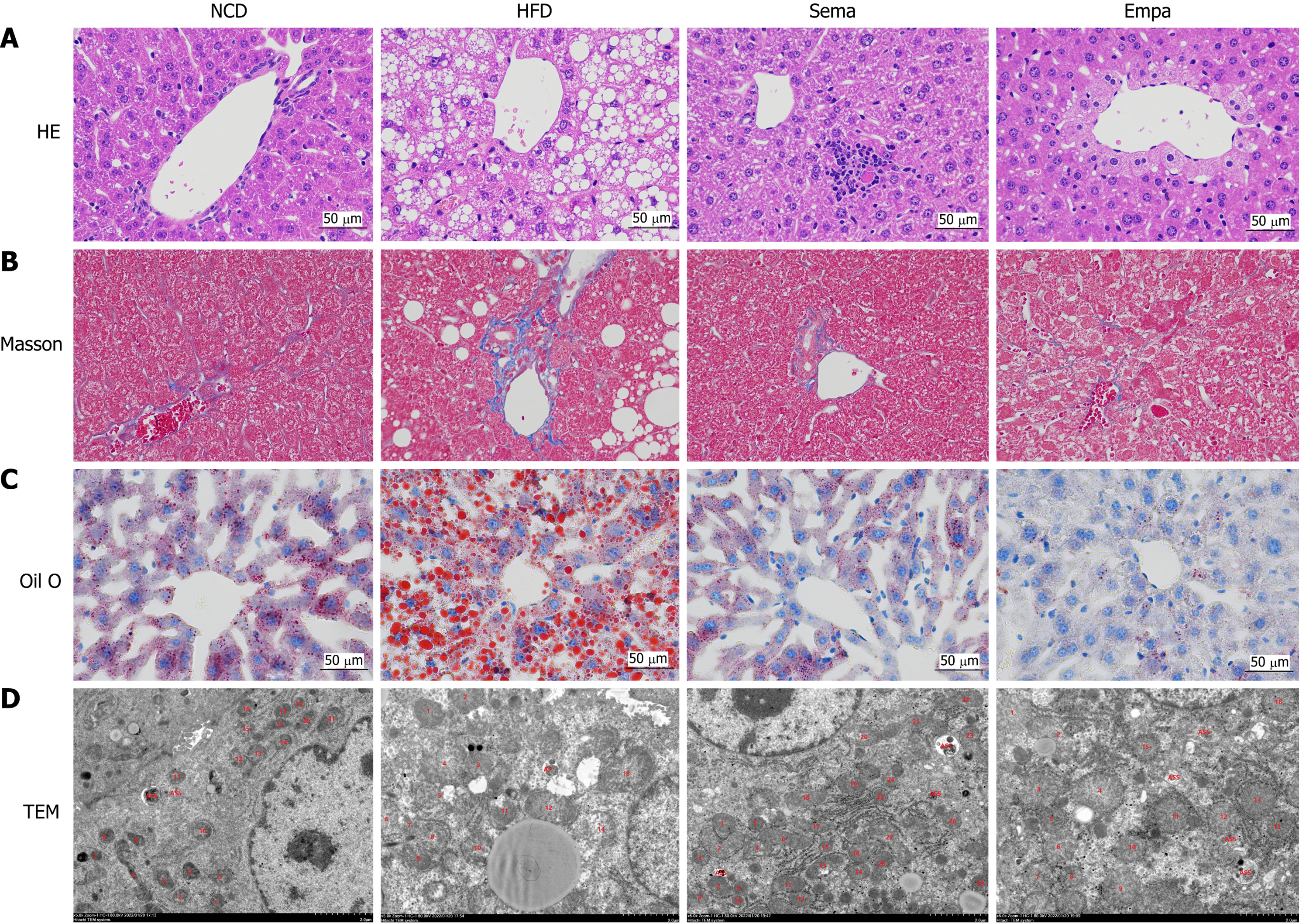 Figure 3 Figure 3