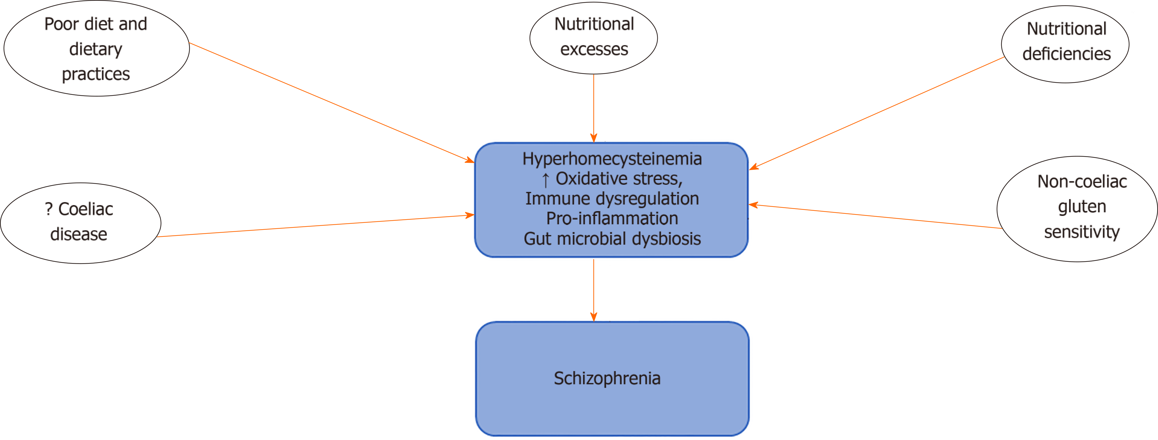 Nutrition Nutritional Deficiencies And Schizophrenia An Association 