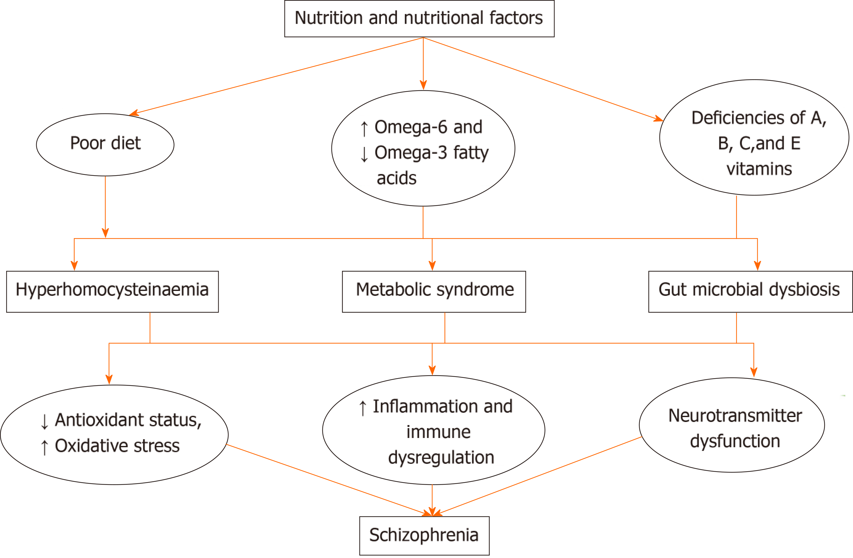 Nutrition Nutritional Deficiencies And Schizophrenia An Association 
