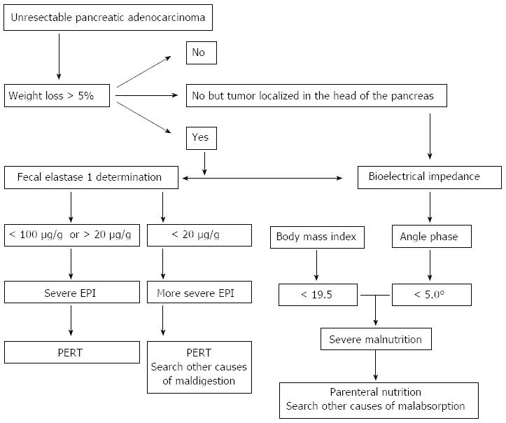 Exocrine Pancreatic Insufficiency In Adults A Shared Position Statement Of The Italian Association For The Study Of The Pancreas