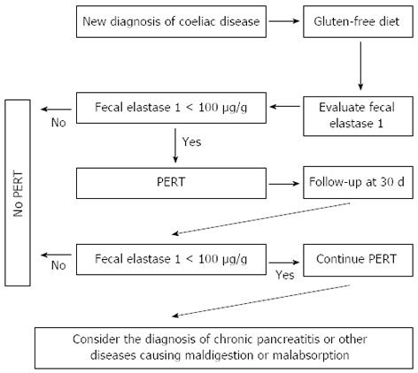 Exocrine Pancreatic Insufficiency In Adults A Shared Position Statement Of The Italian Association For The Study Of The Pancreas